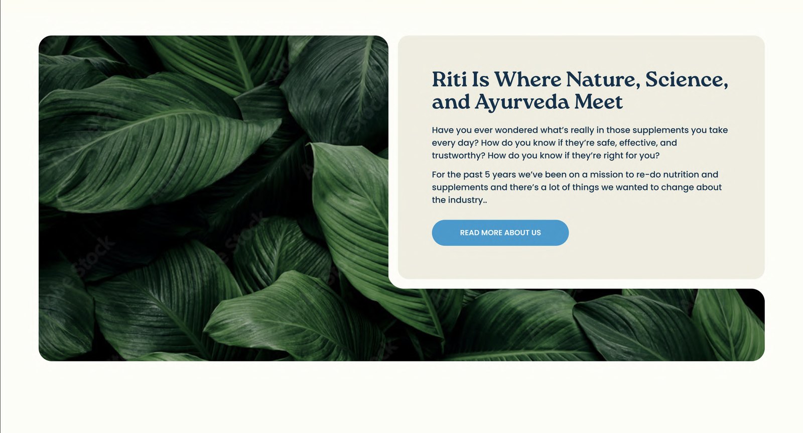 Redesigned Riti brand story module with leaf imagery